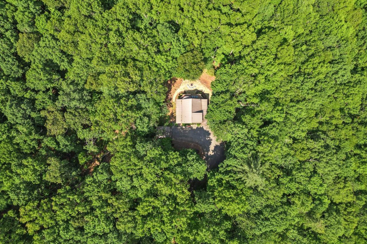 Bear Naked Bungalow Blue Ridge Exterior foto